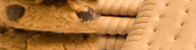 干