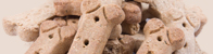 Dog Biscuit